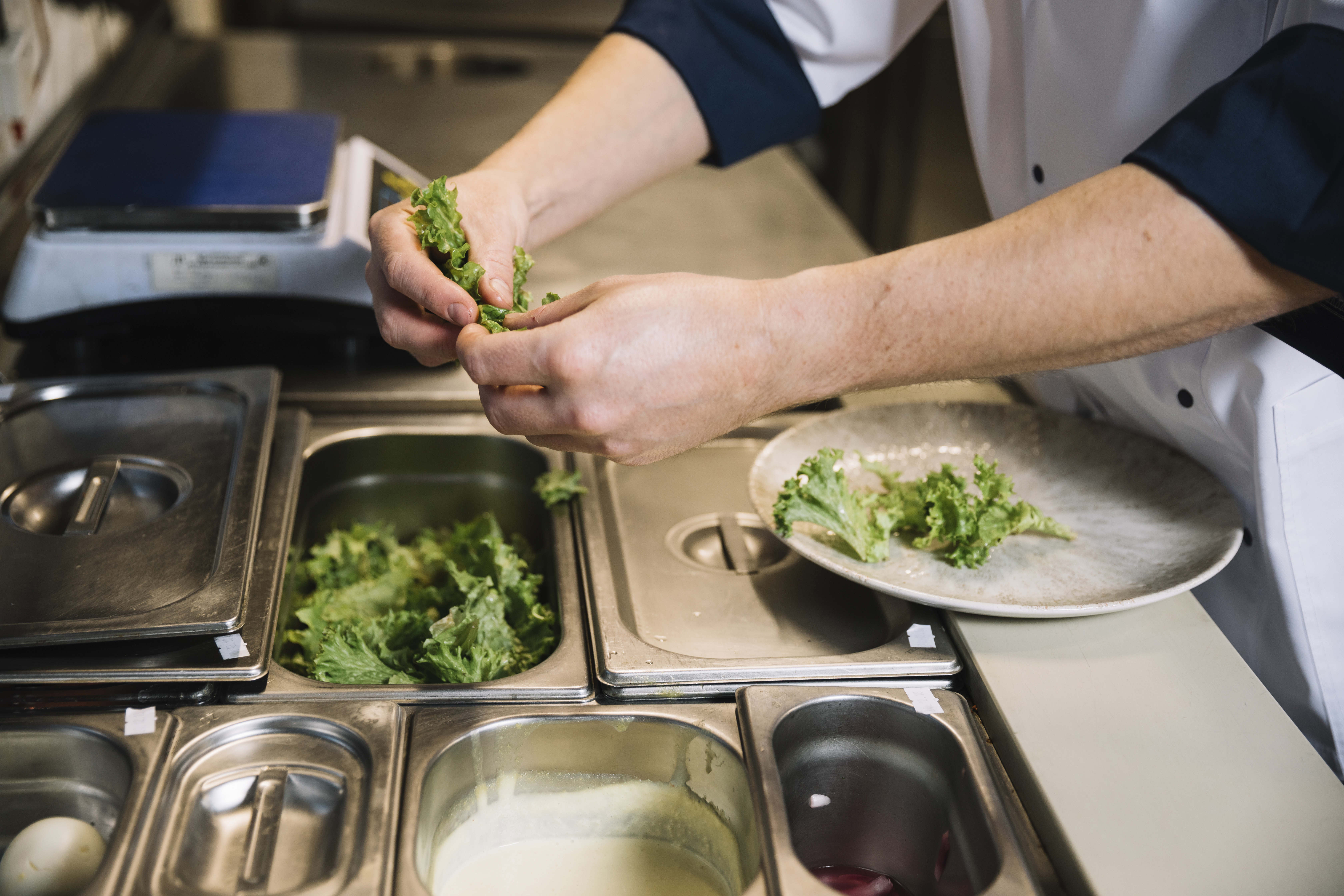 Fresh preparation and plating